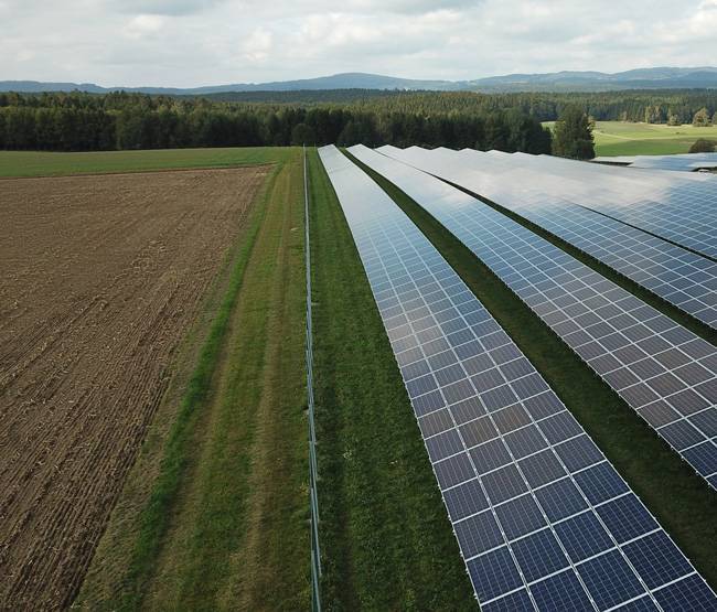 affitto terreno agricolo per fotovoltaico